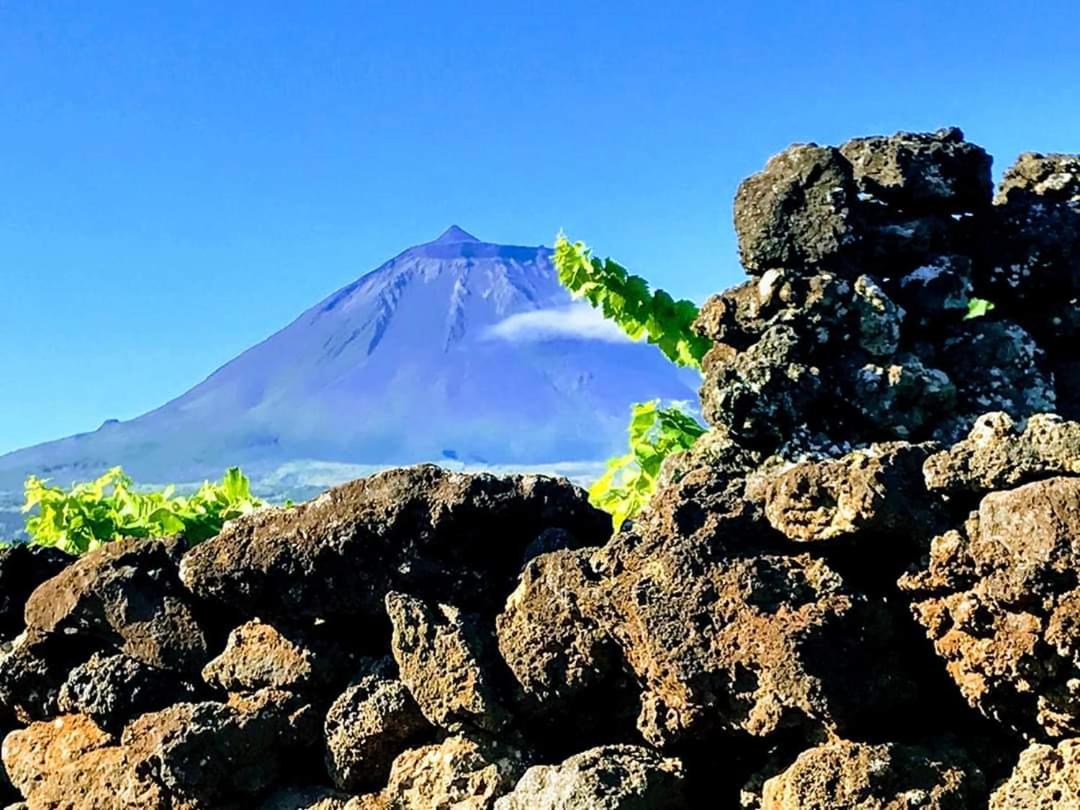 Baco's Vineyard Villa Lajido Dış mekan fotoğraf