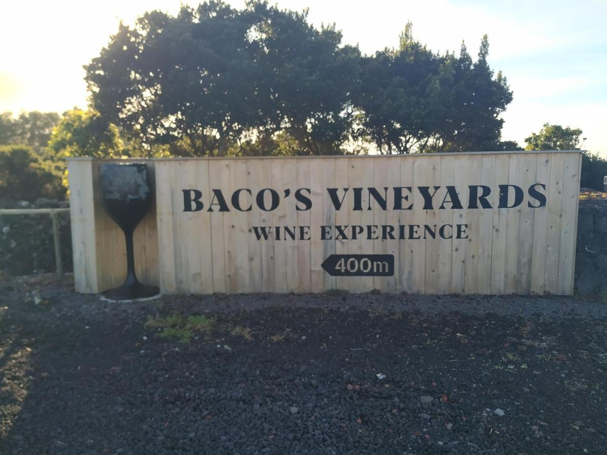 Baco's Vineyard Villa Lajido Dış mekan fotoğraf